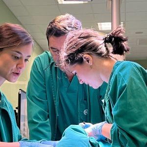 Curso Avanzado de Ginecología Laparoscópica 